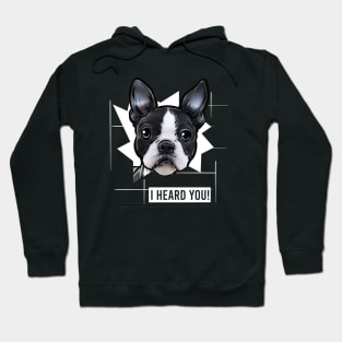 Funny Boston Terrier I Heard You Hoodie